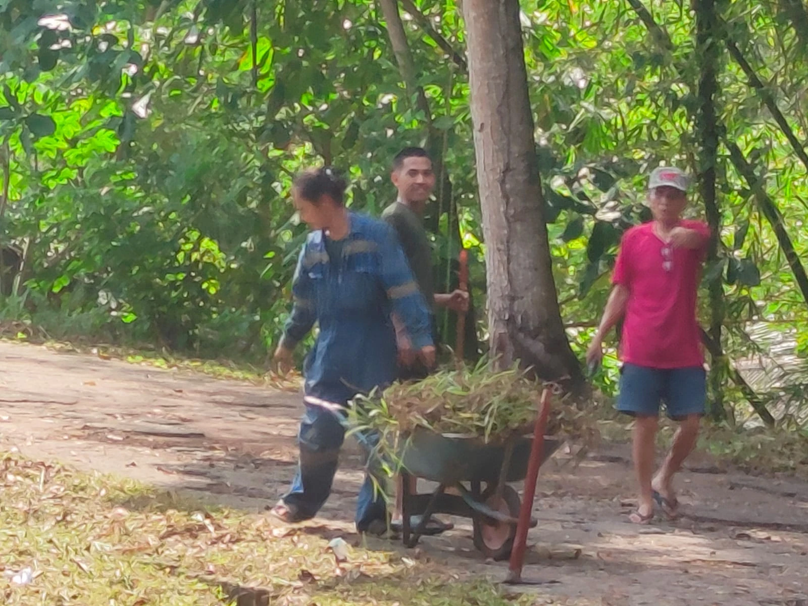 Kerja Bakti di lingkungan RT. 6 Kelurahan Prapatan