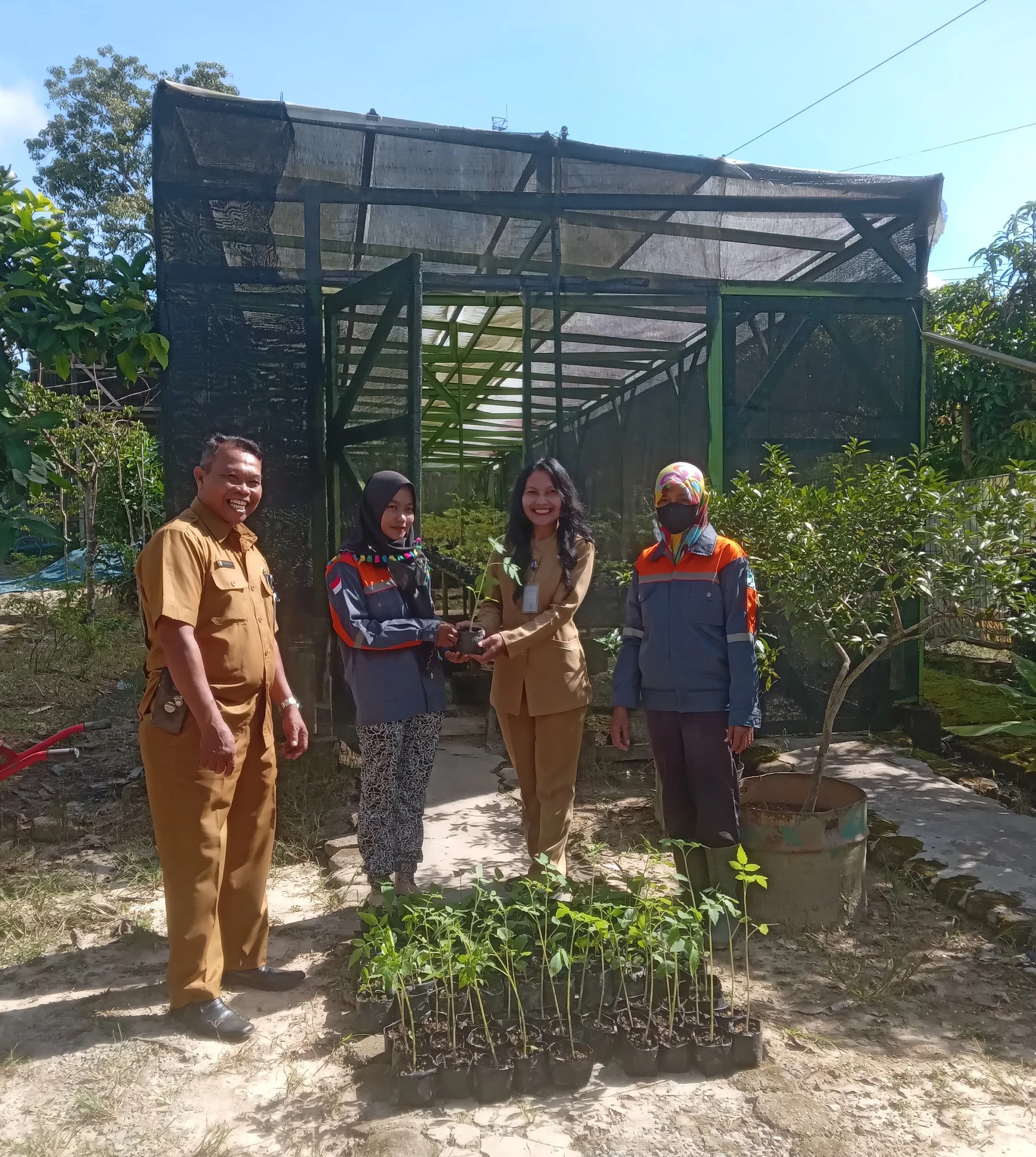 Penerimaan Bantuan Bibit Tanaman Dinas Pangan Pertanian dan Perikanan Kota Balikpapan Untuk Program Hatinya PKK Kelurahan Prapatan Penerimaan Bantuan Bibit Tanaman Dinas Pangan Pertanian dan Perikanan Kota Balikpapan Untuk Program Hatinya PKK Kelurahan Prapatan